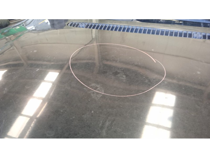 Recambio de capot para bmw serie 3 berlina (e46) 320d referencia OEM IAM   