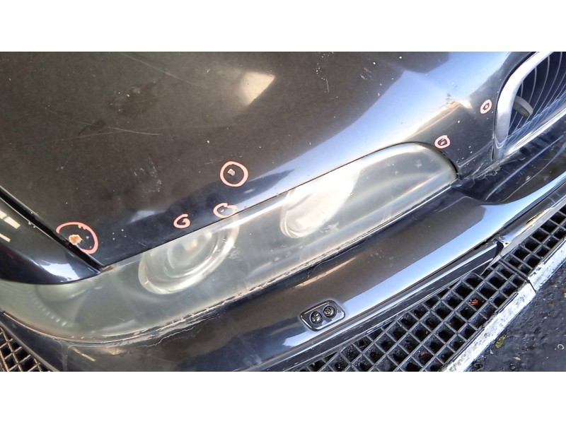 Recambio de capot para bmw 5 (e39) 525 d referencia OEM IAM   
