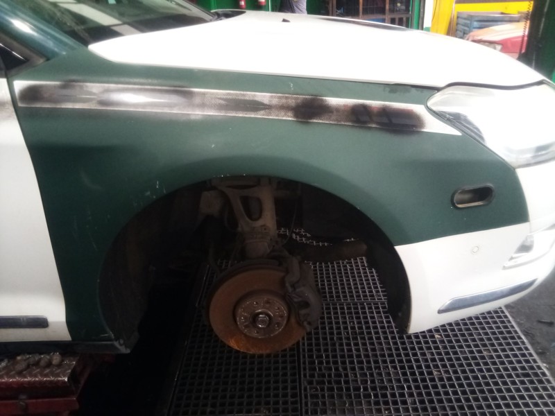 Recambio de aleta delantera derecha para citroën c5 iii (rd_) 2.0 hdi 140 referencia OEM IAM   