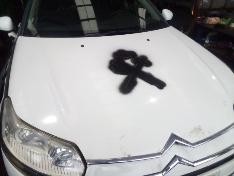 Recambio de capot para citroën c5 iii (rd_) 2.0 hdi 140 referencia OEM IAM   