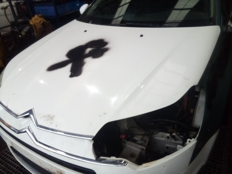 Recambio de capot para citroën c5 iii (rd_) 2.0 hdi 140 referencia OEM IAM   
