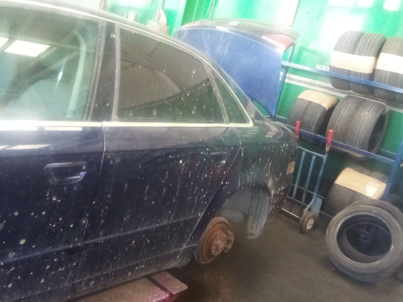 Recambio de puerta trasera izquierda para seat exeo (3r2) 2.0 tdi referencia OEM IAM   