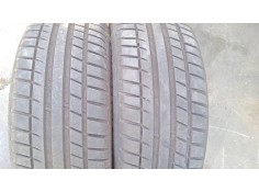 Recambio de pareja neumaticos para audi a6 c5 (4b2, 4b4) 1.9 tdi referencia OEM IAM 205/55R16 - 94V - 94V - TURISMO ROAD PERFORM