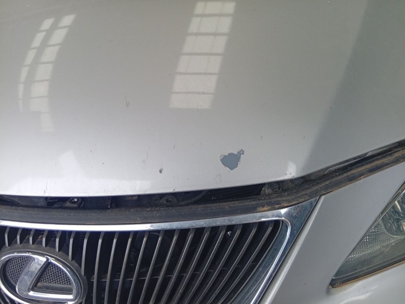 Recambio de capot para lexus is ii (_e2_) 220d (ale20) referencia OEM IAM   