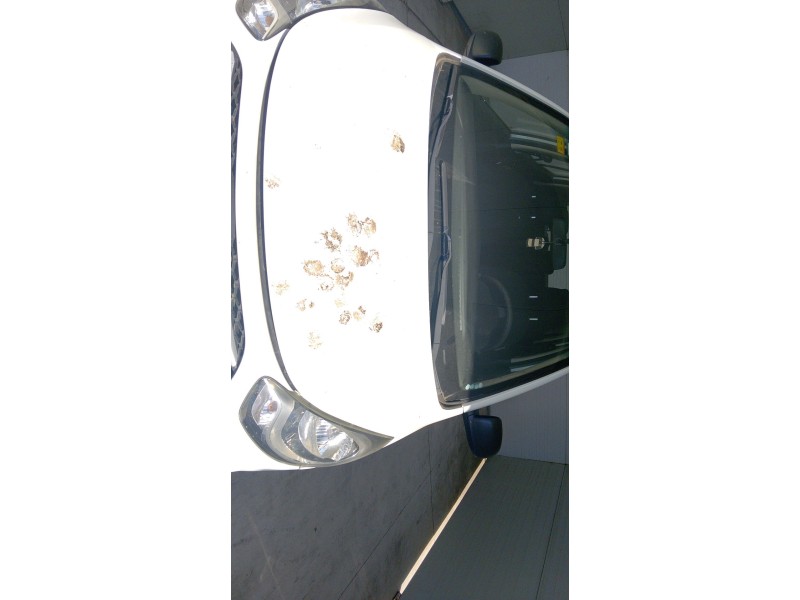 Recambio de capot para hyundai i10 i (pa) 1.2 referencia OEM IAM   