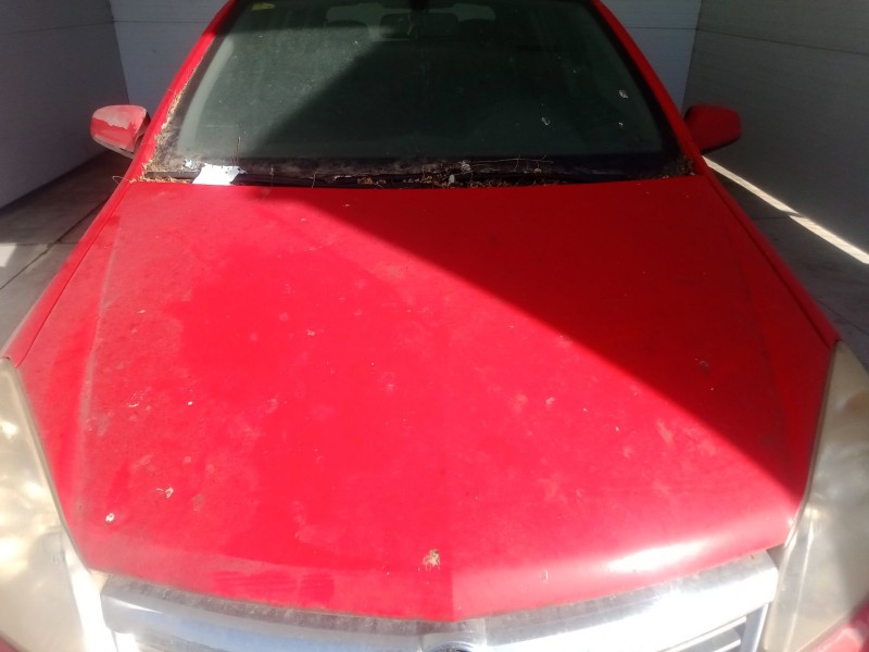 Recambio de capot para opel astra h (a04) 1.4 (l48) referencia OEM IAM   