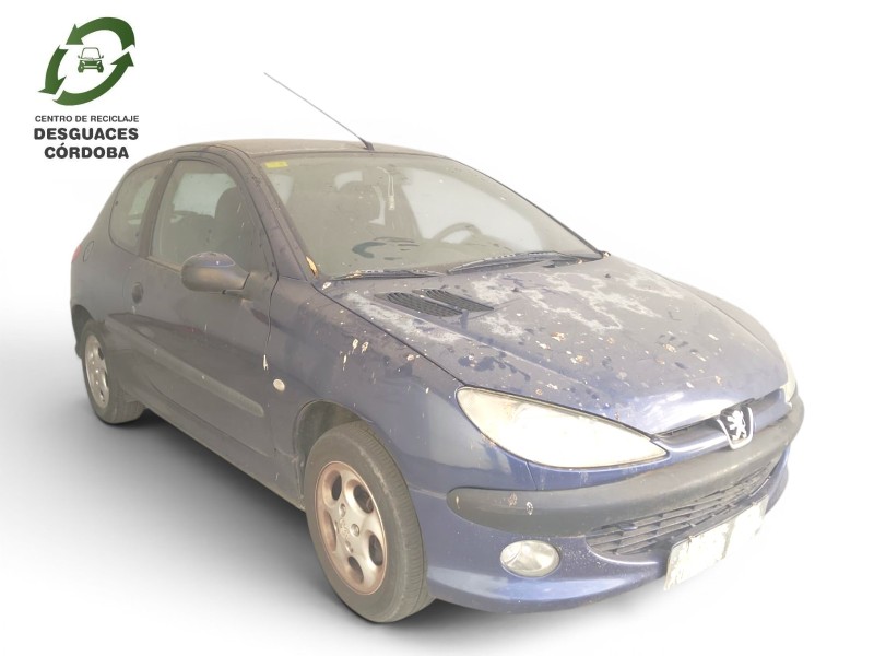 peugeot 206 hatchback (2a/c) del año 1999