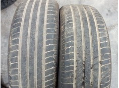 Recambio de pareja neumaticos para bmw 3 (e46) 318 d referencia OEM IAM 225/50R16-96W 96W - TURISMO FIREMAX FM 601