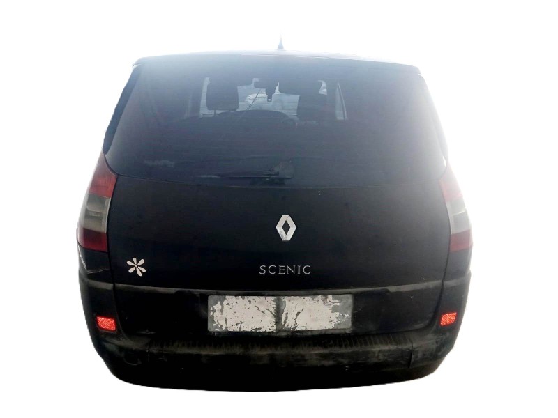 renault grand scénic ii (jm0/1_) del año 2005
