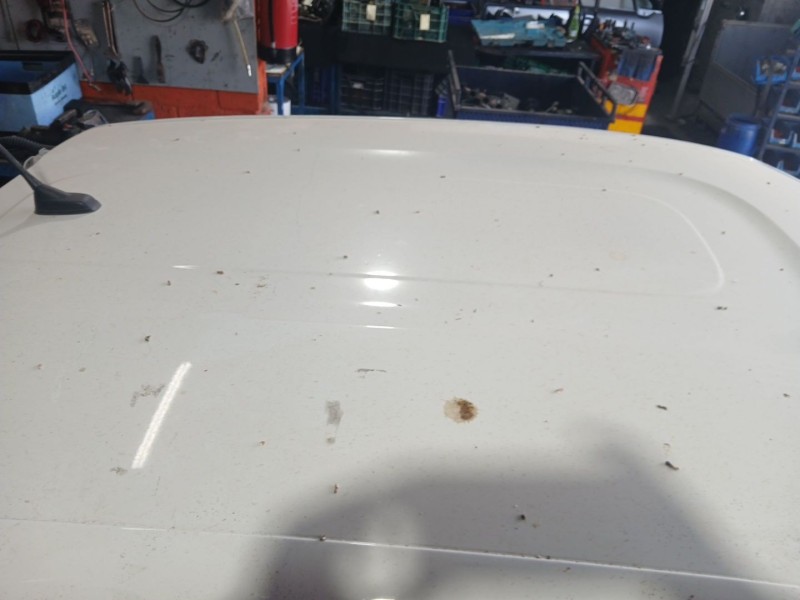 Recambio de techo para citroën c3 iii (sx) 1.2 puretech 82 referencia OEM IAM   