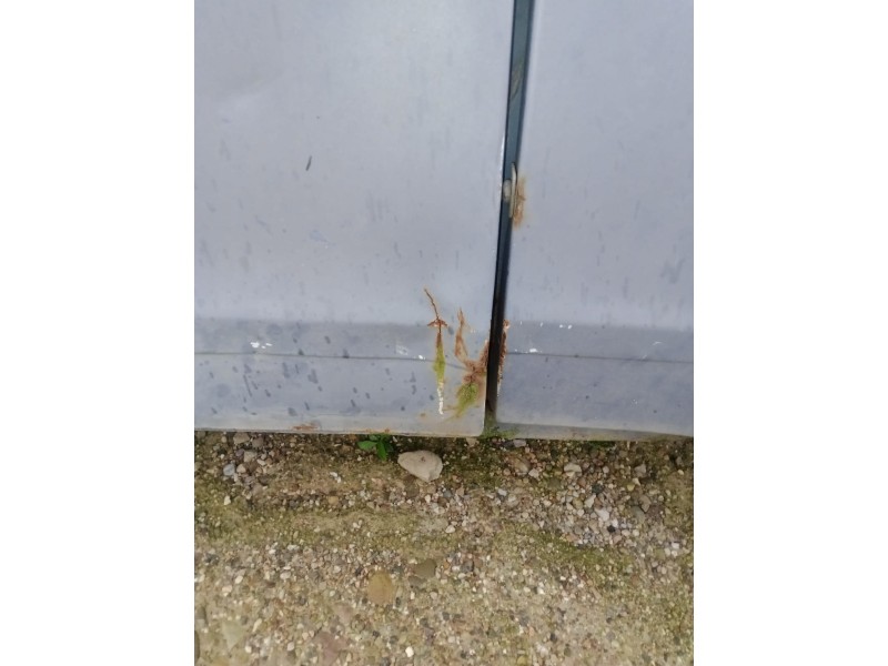 Recambio de puerta delantera derecha para citroën dyane referencia OEM IAM  TARA 