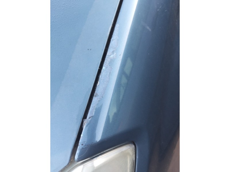 Recambio de aleta delantera izquierda para dacia sandero (bs_) 1.2 16v referencia OEM IAM   