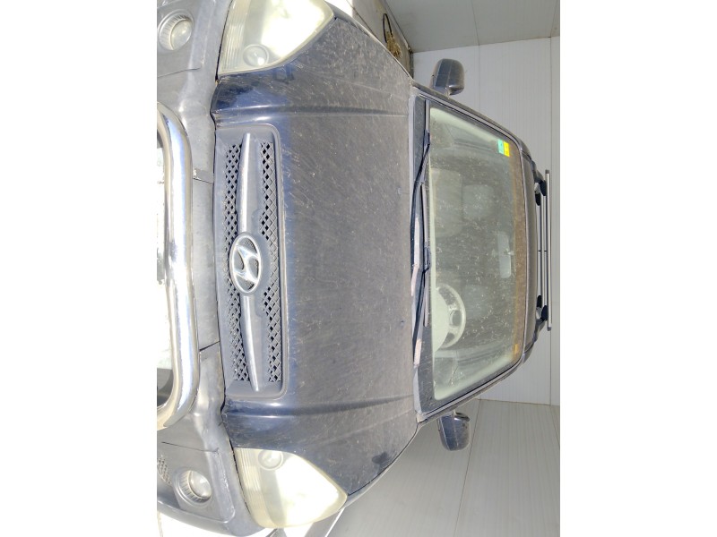 Recambio de capot para hyundai tucson (jm) 2.0 crdi a las 4 ruedas referencia OEM IAM   