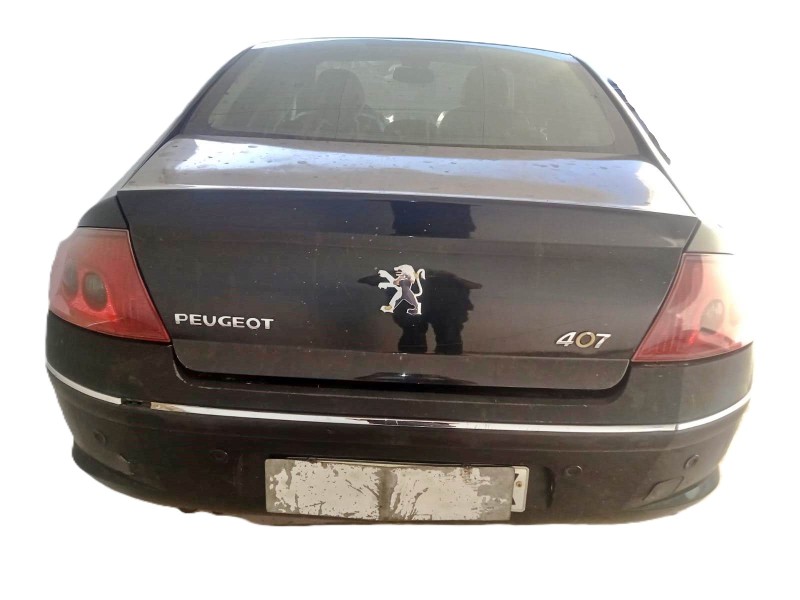 peugeot 407 (6d_) del año 2007