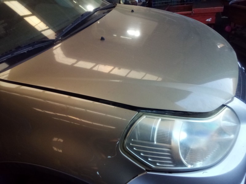 Recambio de capot para fiat sedici (189_) 1.9 d multijet referencia OEM IAM   