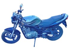 suzuki gs del año 2007 2