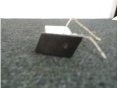 Recambio de mando elevalunas trasero derecho para seat ibiza (6l1) 1.9 tdi referencia OEM IAM 6L0959856  