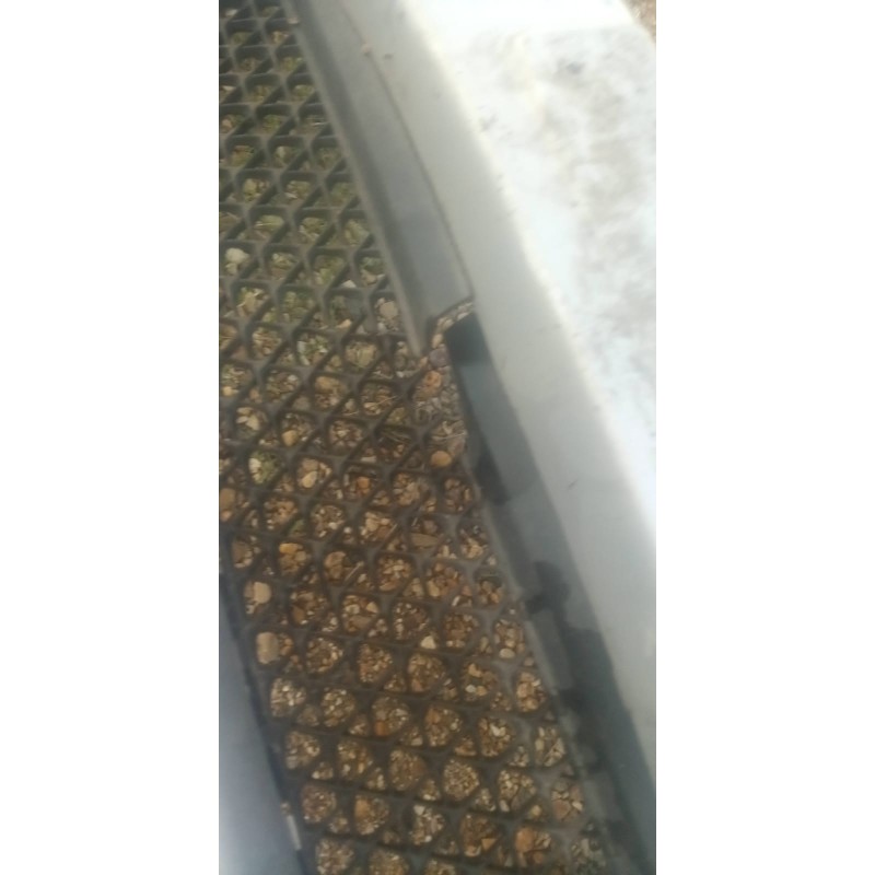 Recambio de paragolpes delantero para hyundai coupe (gk) 1.6 16v cat referencia OEM IAM  AÑO 05-07 