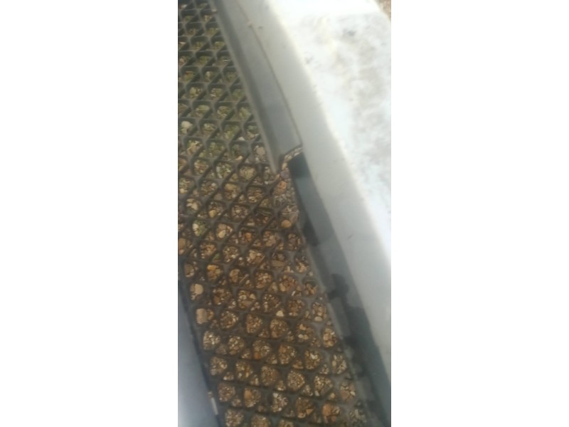 Recambio de paragolpes delantero para hyundai coupe (gk) 1.6 16v cat referencia OEM IAM  AÑO 05-07 