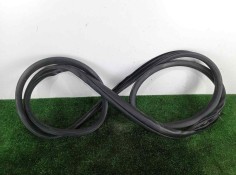 Recambio de gomas contorno puerta para ford ranger (tke) 2.0 tdci panther cat referencia OEM IAM SINREFERENCIA TRASERA DERECHA 
