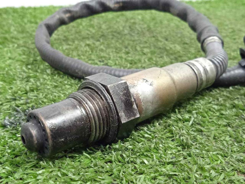 Recambio de sonda lambda para bmw x3 (e83) 2.0 16v diesel cat referencia OEM IAM 779159201 5.CABLES 