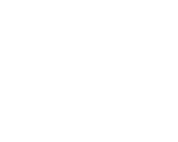 logo_daelim_blanco