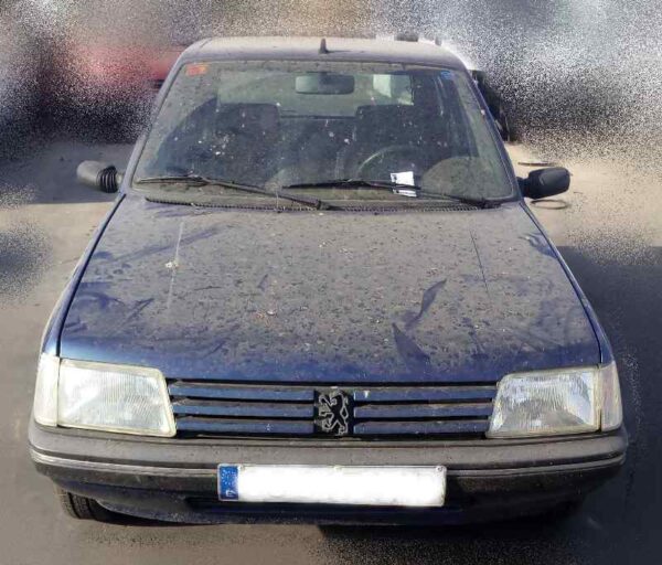 peugeot_205_berlina