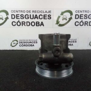 bomba_direccion_95_bar_saginaw_8097_polea_119mm_volkswagen_golf_iv_berlina_1j1_1_9_tdi