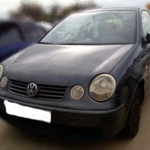 volkswagen_polo_9n1