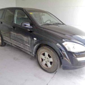 puerta_trasera_derecha_ssangyong_kyron_2_0